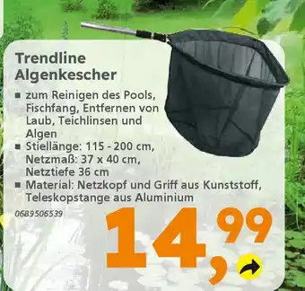 Globus Baumarkt Trendline Algenkescher Angebot