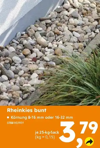 Globus Baumarkt Rheinkies bunt Angebot