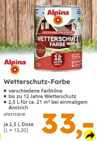 Globus Baumarkt Alpina Wetterschutz-Farbe Angebot