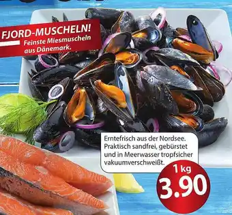 Famila Nord Ost Fjord-muscheln! Angebot