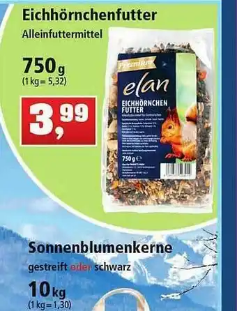 Thomas Philipps Eichhörnchenfutter Angebot