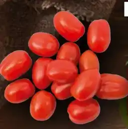 Handelshof Mini-Romatomaten Angebot