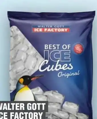 Handelshof Walter Gott Ice Factory Solid Cubes Angebot