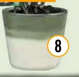 Hornbach Pflanztopf Avocado White Angebot