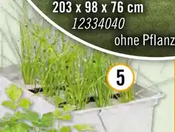 Hornbach Bio Schnittlauch Kräuterpflanzen Angebot