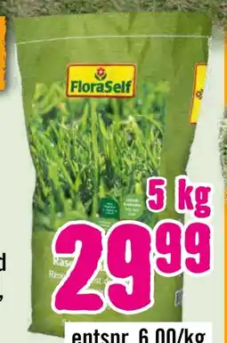 Hornbach FloraSelf Nachsaatrasen Angebot