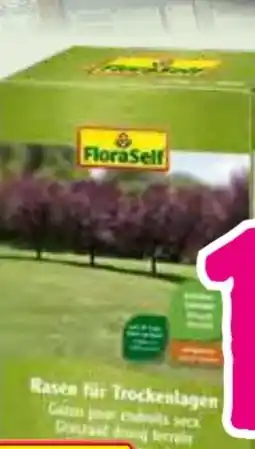 Hornbach FloraSelf Trockenrasen Angebot