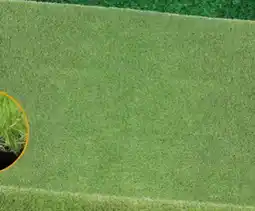 Hornbach Garden Place Kunstrasen Carry Angebot