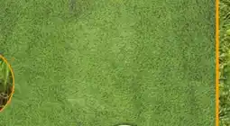 Hornbach Garden Place Kunstrasen Dela Angebot