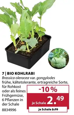 Dehner Bio kohlrabi Angebot