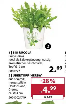 Dehner Übertopf ‘herba’ Angebot
