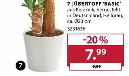 Dehner Übertopf 'basic' Angebot