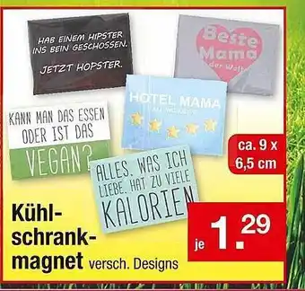 Zimmermann Kühlschrank Magnet Angebot