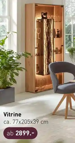 Möbel Martin Vitrine Angebot