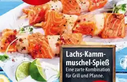 Famila Nord Ost Lachs-Kammmuschel-Spieẞ Angebot