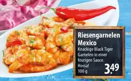 Famila Nord Ost Riesengarnelen Mexico Angebot
