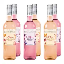 Netto Marken-Discount Gerstacker Lil' Berry Waldfrucht & Weißer Pfirsich 5,1 % vol 6 x 0,75 Liter Angebot