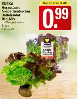 WEZ EDEKA Herzstücke Niederländischer Ballensalat Trio-Mix Angebot