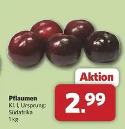 Combi Pflaumen Angebot
