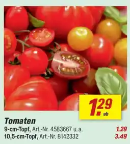 toom Baumarkt Tomaten Angebot