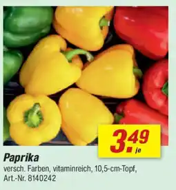 toom Baumarkt Paprika Angebot