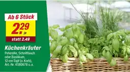 toom Baumarkt Küchenkräuter Angebot