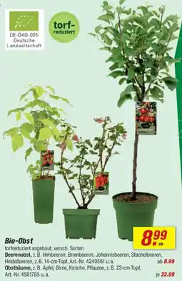toom Baumarkt Bio-Obst Angebot