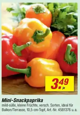toom Baumarkt Mini-Snackpaprika Angebot