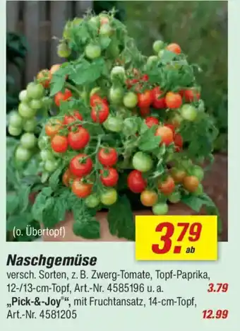 toom Baumarkt Naschgemüse Angebot