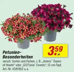 toom Baumarkt Petunien- Besonderheiten Angebot