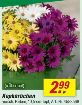 toom Baumarkt Kapkörbchen Angebot