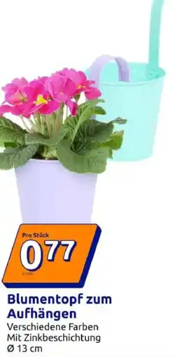 Action Blumentopf zum Aufhängen Angebot