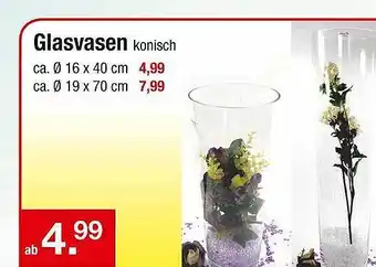 Zimmermann Glasvasen Angebot