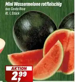 Simmel Mini Wassermelone rotfleischig Angebot