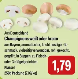 Feneberg Champignons weiß oder braun Angebot