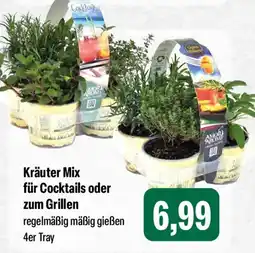 Feneberg Kräuter Mix für Cocktails oder zum Grillen Angebot