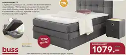 Möbel Buss Boxspringbett Angebot