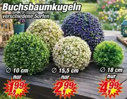 Posten Börse Buchsbaumkugeln Angebot