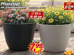 Posten Börse Pflanztopf mit mit Schmunzelfehlern Angebot