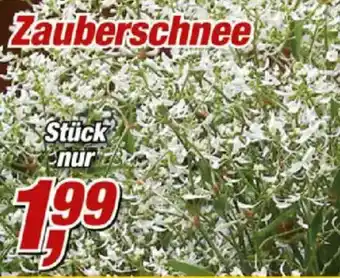 Posten Börse Zauberschnee Angebot