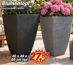 Posten Börse Blumentopf Angebot