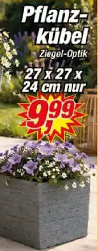 Posten Börse Pflanzkübel Angebot