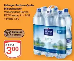 Globus Ileburger Sachsen Quelle Mineralwasser Angebot