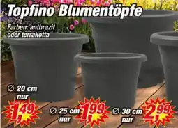 Posten Börse Topfino Blumentöpfe Angebot