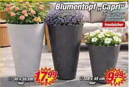 Posten Börse Blumentopf Capri Angebot