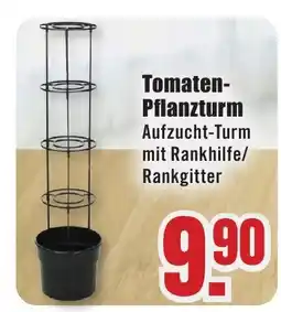 B1 Discount Baumarkt Tomaten Pflanzturm Angebot
