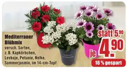 B1 Discount Baumarkt Mediterraner Blühmix Angebot