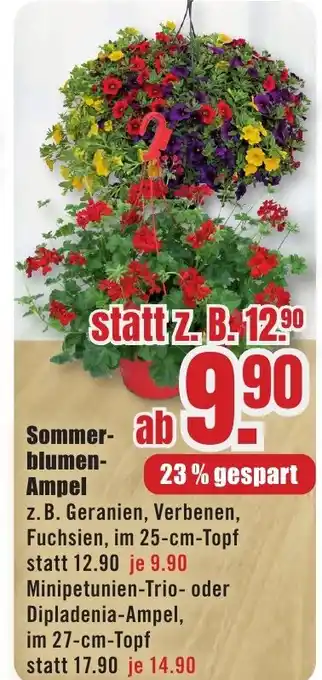 B1 Discount Baumarkt Sommerblumen Ampel Angebot