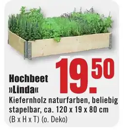 B1 Discount Baumarkt Hochbeet Linda Angebot