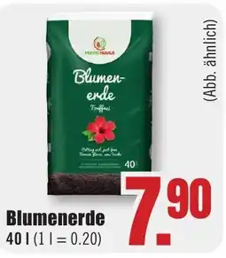 B1 Discount Baumarkt Blumenerde Angebot